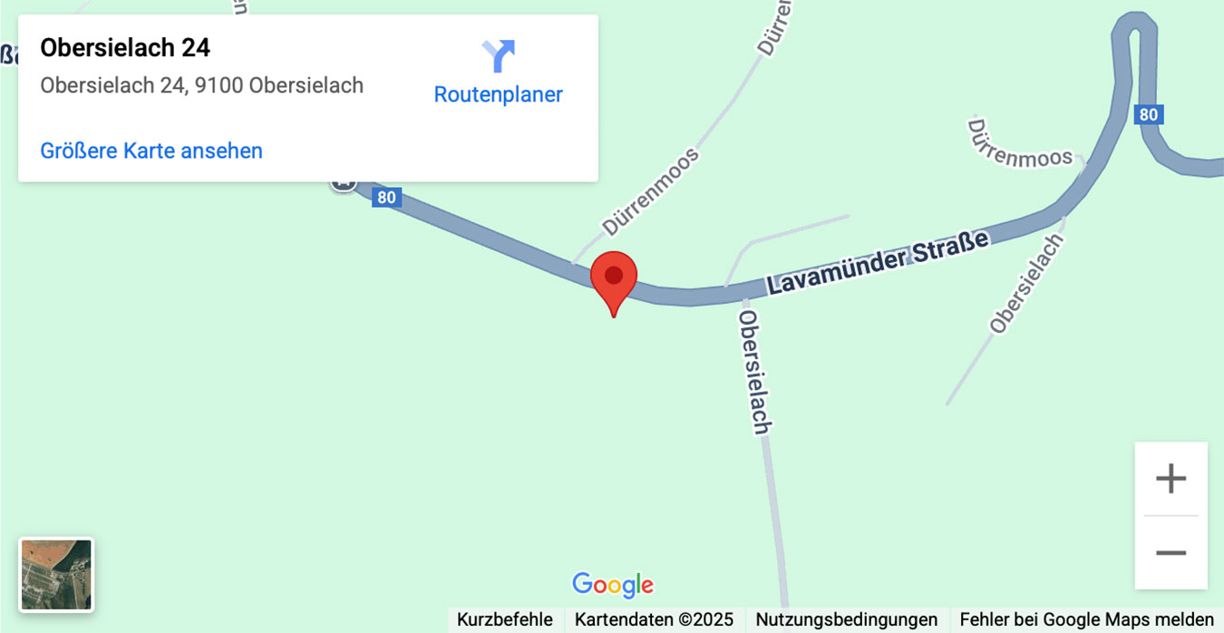 Google Maps Labor